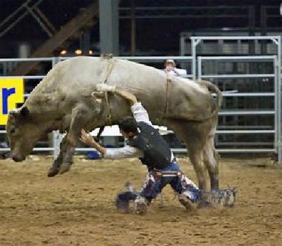 Bull Rider Killed By Bull At Canadian Rodeo | TopNews