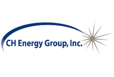 CH Energy Group posts 2009 earnings results