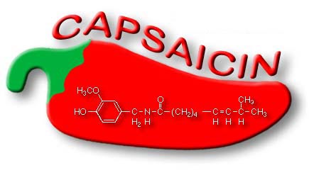 Capsaicin, the active agent in spicy hot chili peppers can reduce pain 
