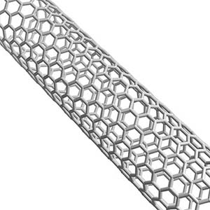 Protein-recognizing polymer coated carbon nanotubes may identify proteins