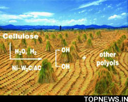 New method converts cellulose into chemical feedstock for fuels and plastic