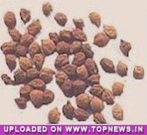 Chana