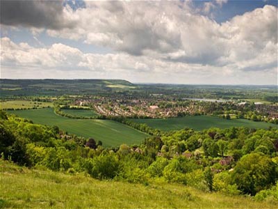 Half of UK land is used for crops or pasture