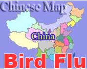 Young girl infected with bird flu in China 