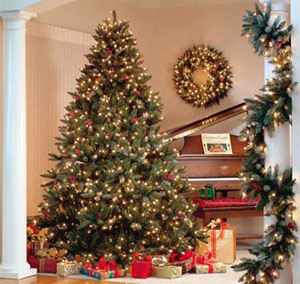 Meet the woman who’s allergic to Christmas trees!
