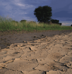 Climate change