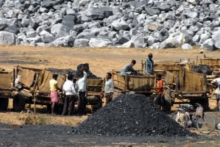Coal mines are threatening forests and wildlife, says Greenpeace
