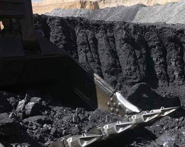 Domestic supply of coal lags far behind demand 