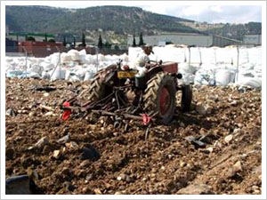 New technique may clean contaminated soil quickly