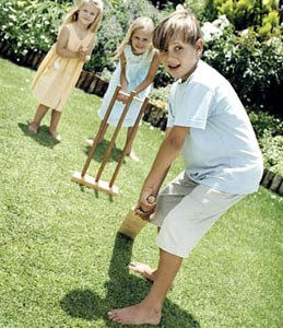 ‘Play cricket to improve maths’