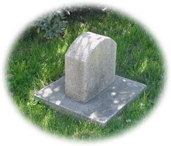 New Zealand council wants to dig up dog's grave to prove it is dead 