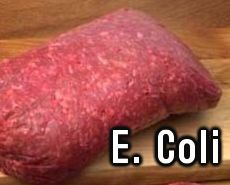E-Coli_Infected-Beef