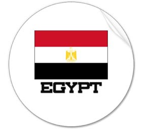 Egypt's anti-succession campaign launched amid low security