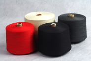 Emmbi-Polyarns