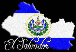 Ex-guerrillas win El Salvador parliamentary elections