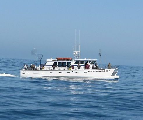 Facebook experimenting with free water taxi service