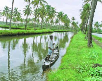 ''Farm tourism''- Kerala’s new attraction