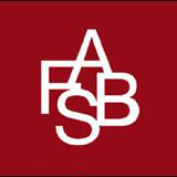 The Financial Accounting Standards Board (FASB)
