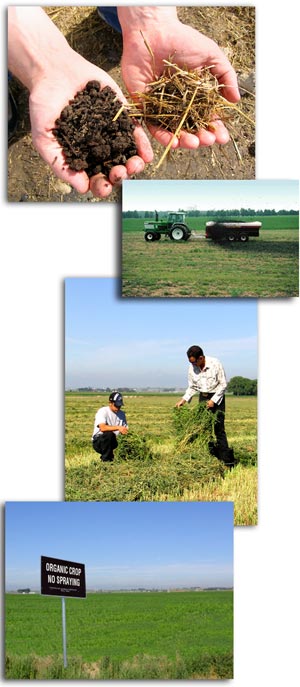 CCEA approves Rs.200-crore grant for Fertilizers and Chemicals Travancore Ltd