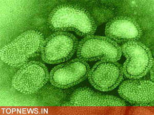 Dieters could face hard time fighting off flu virus