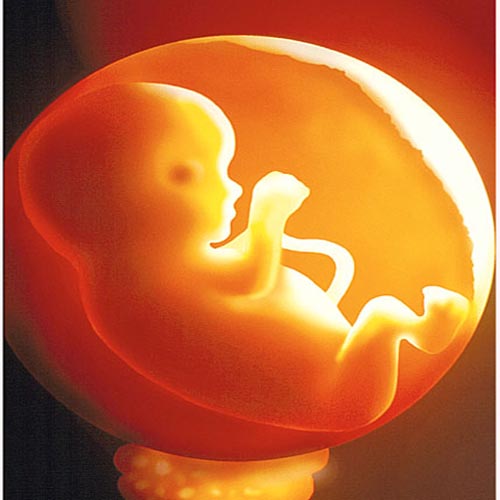 Research: Pesticides Put The Unborn At Risk Of Cancer