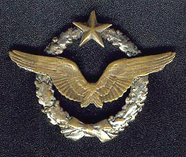 French pilot Badge