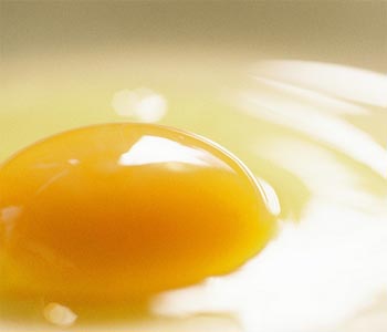 Young women more apt than others to consider freezing eggs