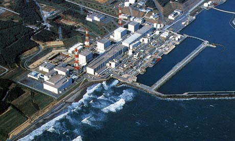 Fukushima plant halts fuel-rod cooling due to rats