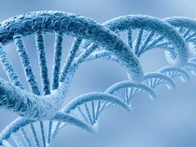 World’s Most Detailed Genetic Map Unveiled