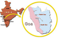 Cong. wins Goa by-poll