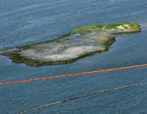 The coast guard is all set to burn off the floating oil in gulf