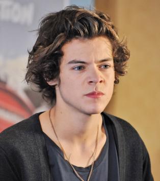 Harry Styles sparks rumours he's dating aspiring model Kara Rose