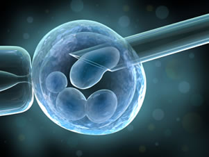 Researchers testing improved IVF screening