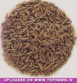 Commodity Trading Tips for Jeera by KediaCommodity