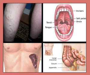 ''Junk'' organs are not really useless