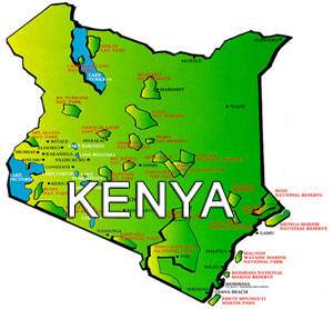 40 missing, one dead after supermarket blaze in Kenya