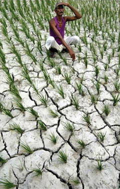 Kerala farmers stage a “crawling march”