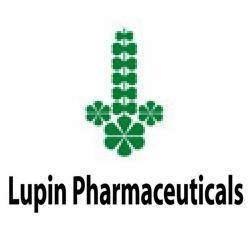 Lupin
