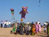 Makar Sankranti being celebrated