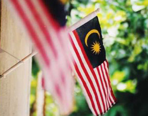 ‘MIC gave RM1.5 miliion to Malay Indian NGOs in Johor’