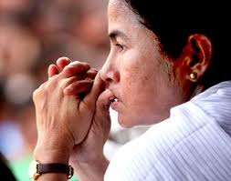 Mamata Banerjee takes FDI fight to Jantar Mantar