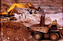 Goa govt. temporarily suspends all mining activities