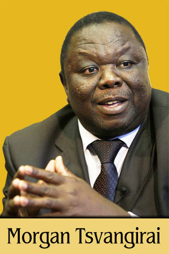Driver of truck that crashed into Tsvangirai appears in court 