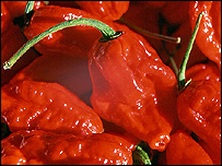 Naga_Chillies