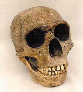 Neanderthal-Genes