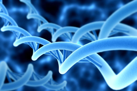 New-gene ‘Atlas’ to map human DNA activity
