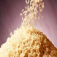 Non-Basmati Rice Ready for Export