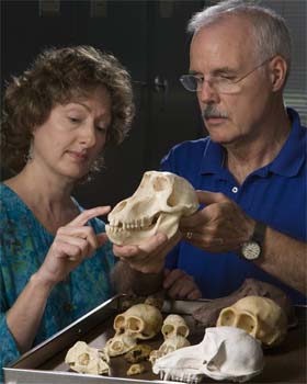 4,000 yr old tenon heads discovered in Peru