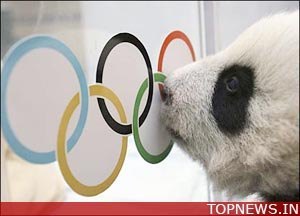 Olympic pandas return home after Beijing mission