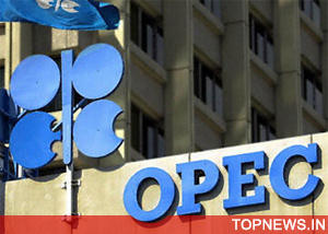 OPEC oil price back above 49 dollars